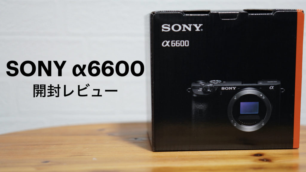 カメラ初心者が【SONY α6600】を購入した理由と開封レビュー【デジタル一眼カメラ/ミラーレス/APS-C】