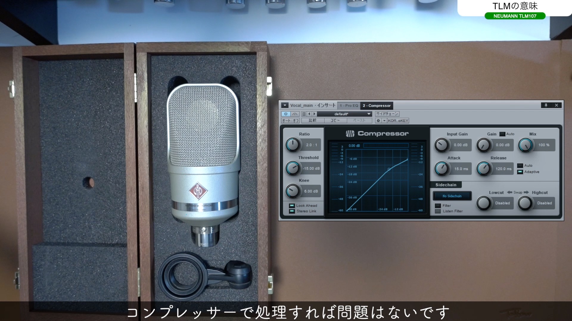 新品 自作 コンデンサーマイク Neumann TLM103 クローン mod+bnorte.com.br