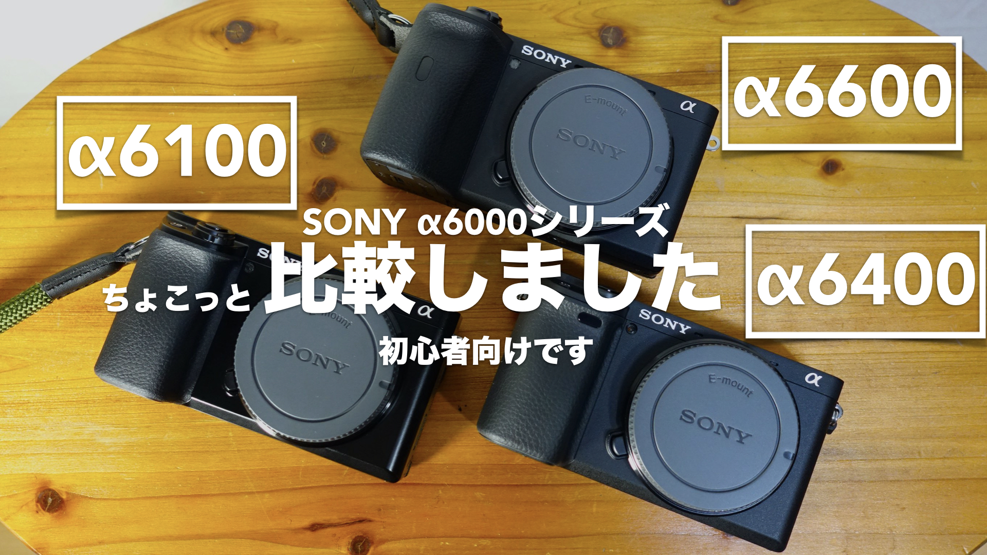 α6100」「α6400」「α6600」をちょこっと比較。カメラ初心者向けです 